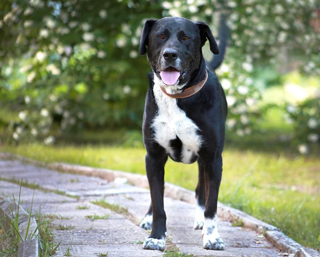 photo_2023-09-25_17-16-06