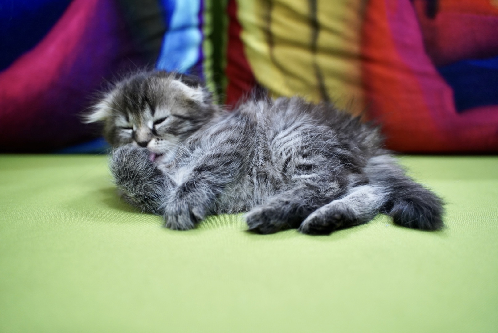 0178E653-F825-4285-8ED4-51CDB1A61095