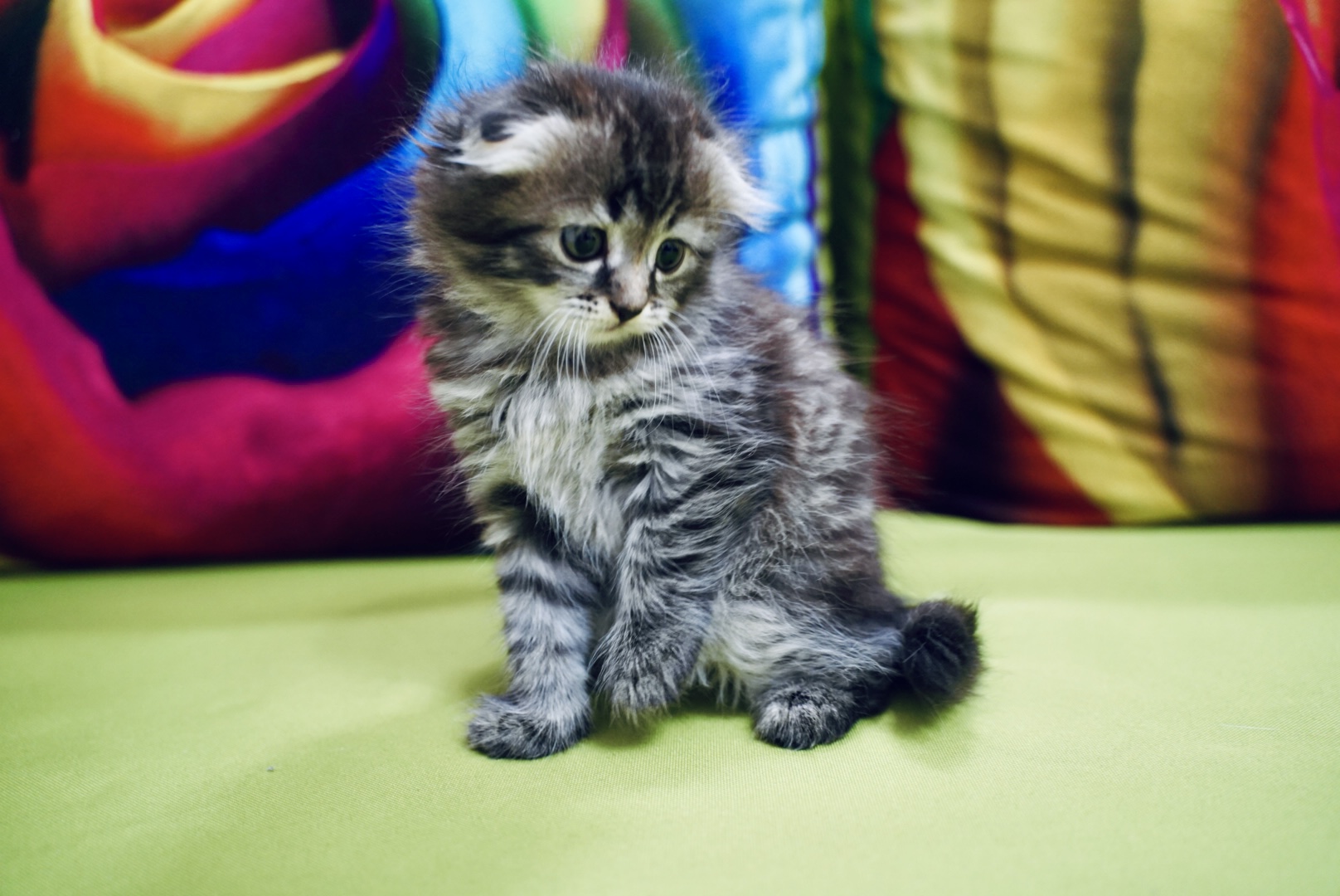 20CA5A6C-47EA-4D0B-90B2-00724D2A5BEC