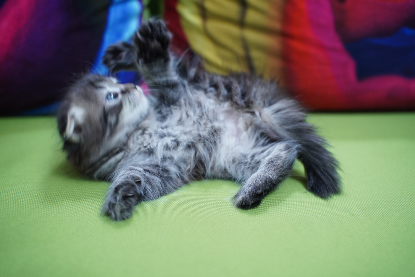 214E8925-0DE0-4A76-9414-158CA500AD15