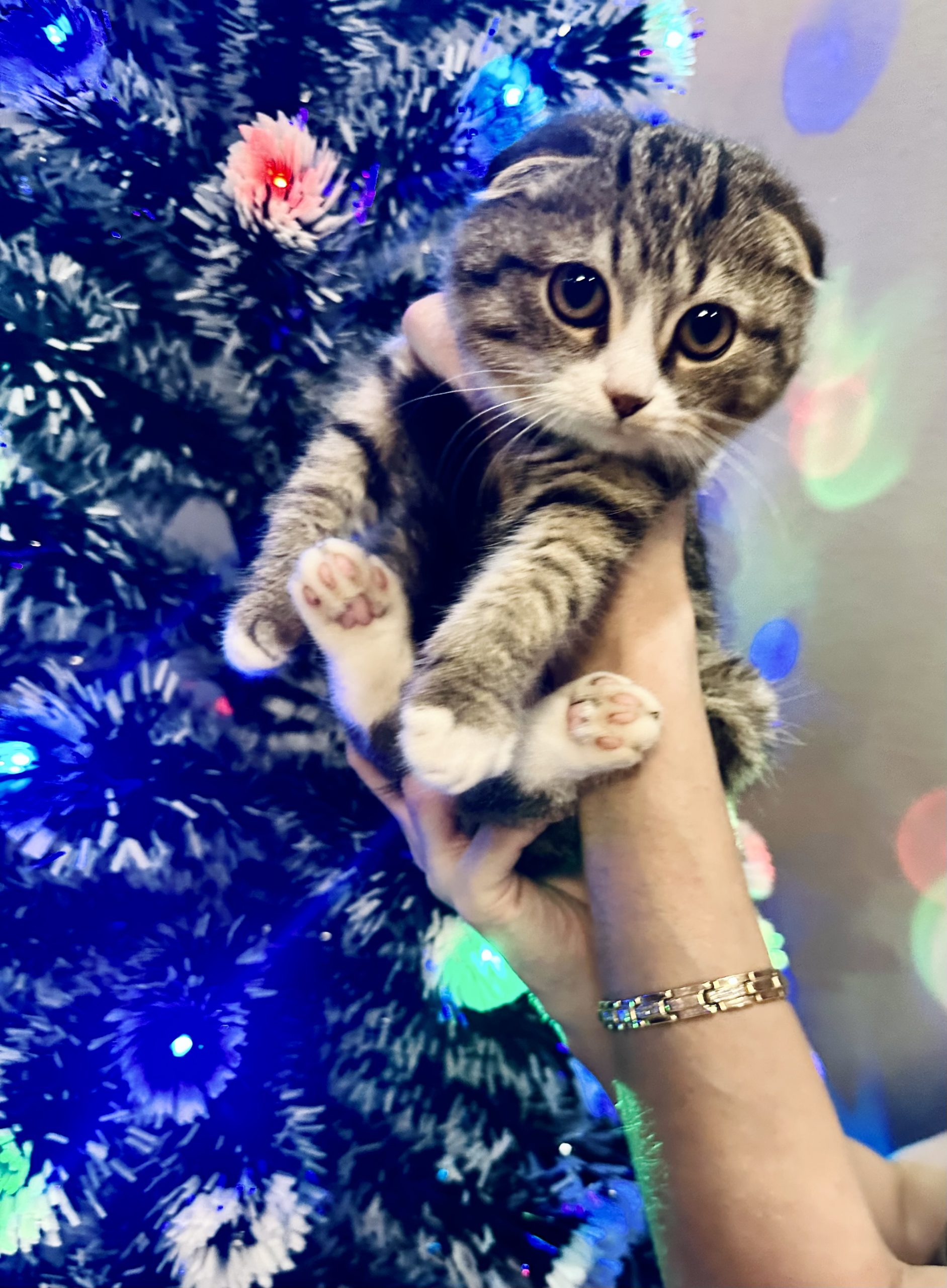 4AD6C709-58D9-476B-B1FD-C931CA918A7C