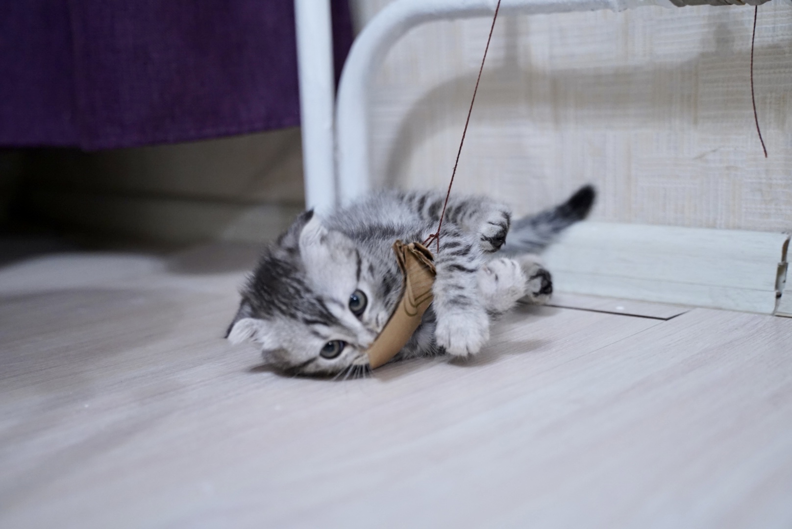 5451BAE4-AD18-49CC-8C3F-EF3BE3AA357E