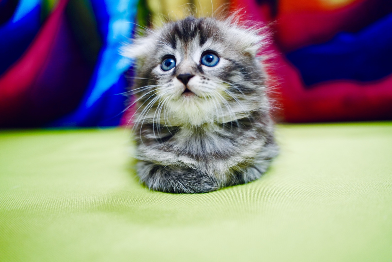 87AEF19D-083B-42F1-98F3-8ACE33B370F2