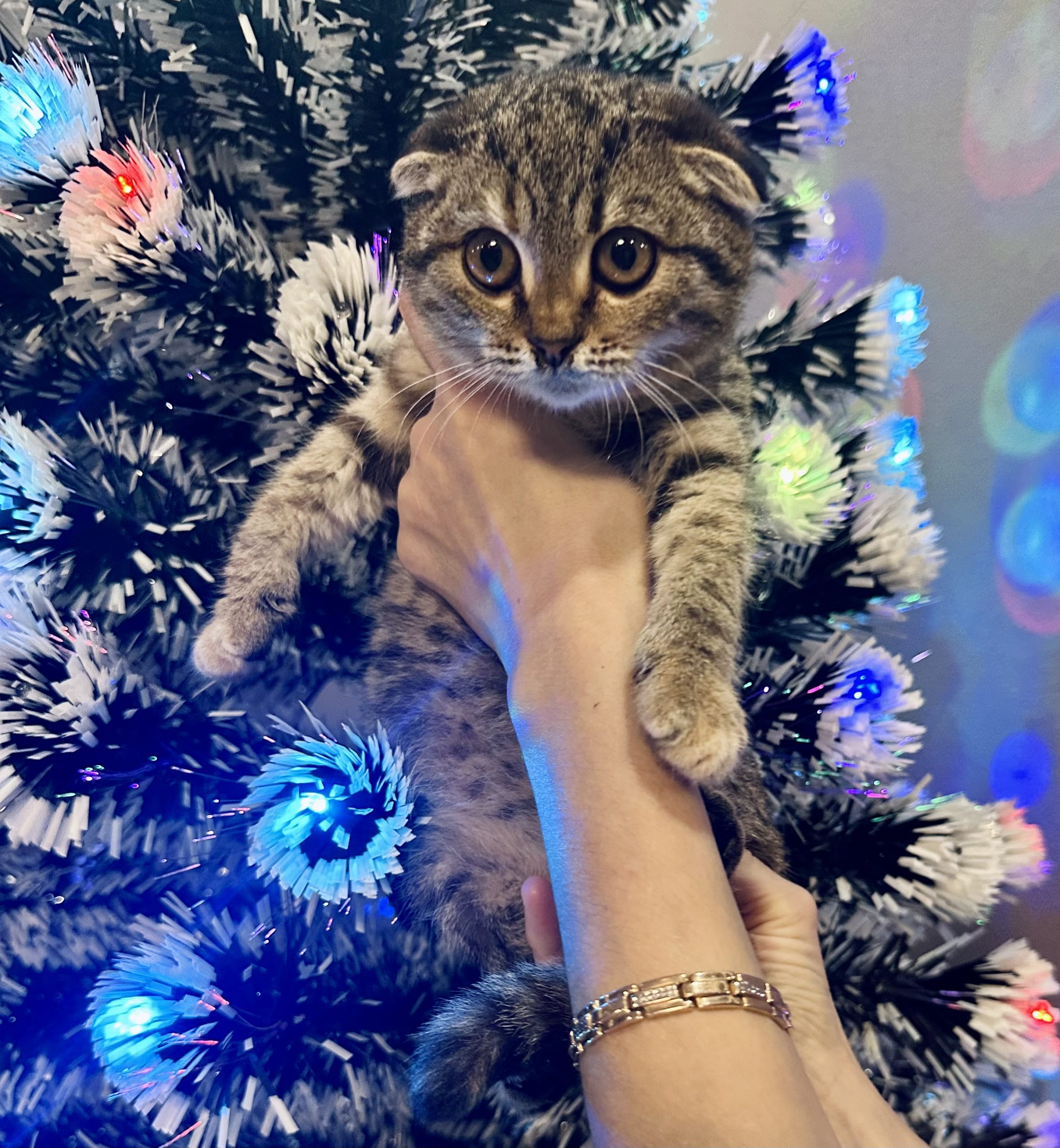 96B8E741-0678-4046-8B2C-6A62F72D464E