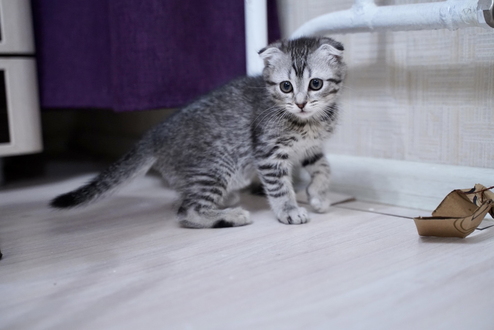 C509BAB9-EDDA-46F7-B1F8-0A87882F3868