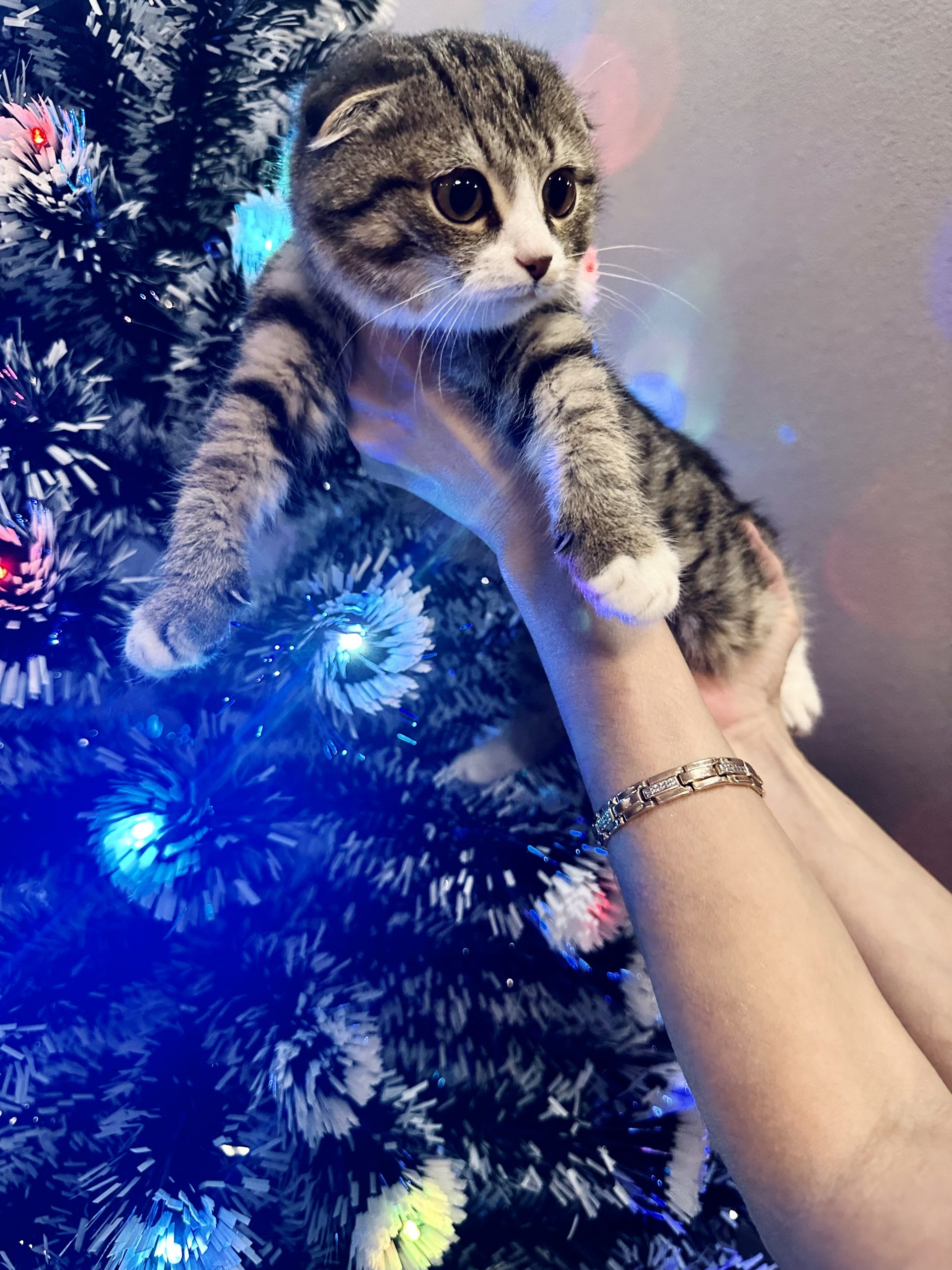 D7C04128-D097-442A-ACD2-40811097EEC5