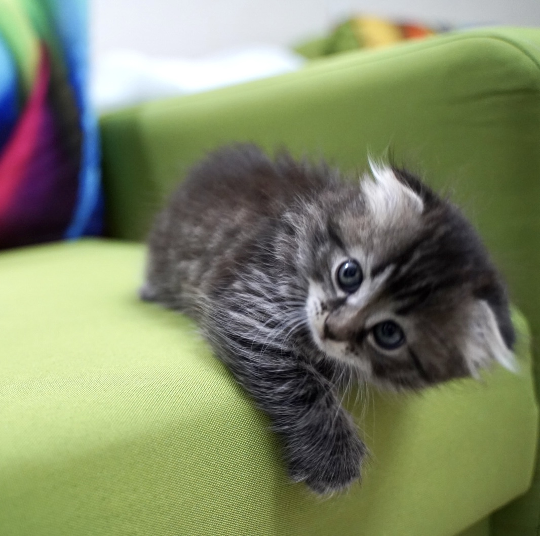 DABE9134-D2E9-4F76-9D00-9D312FCAEA4A