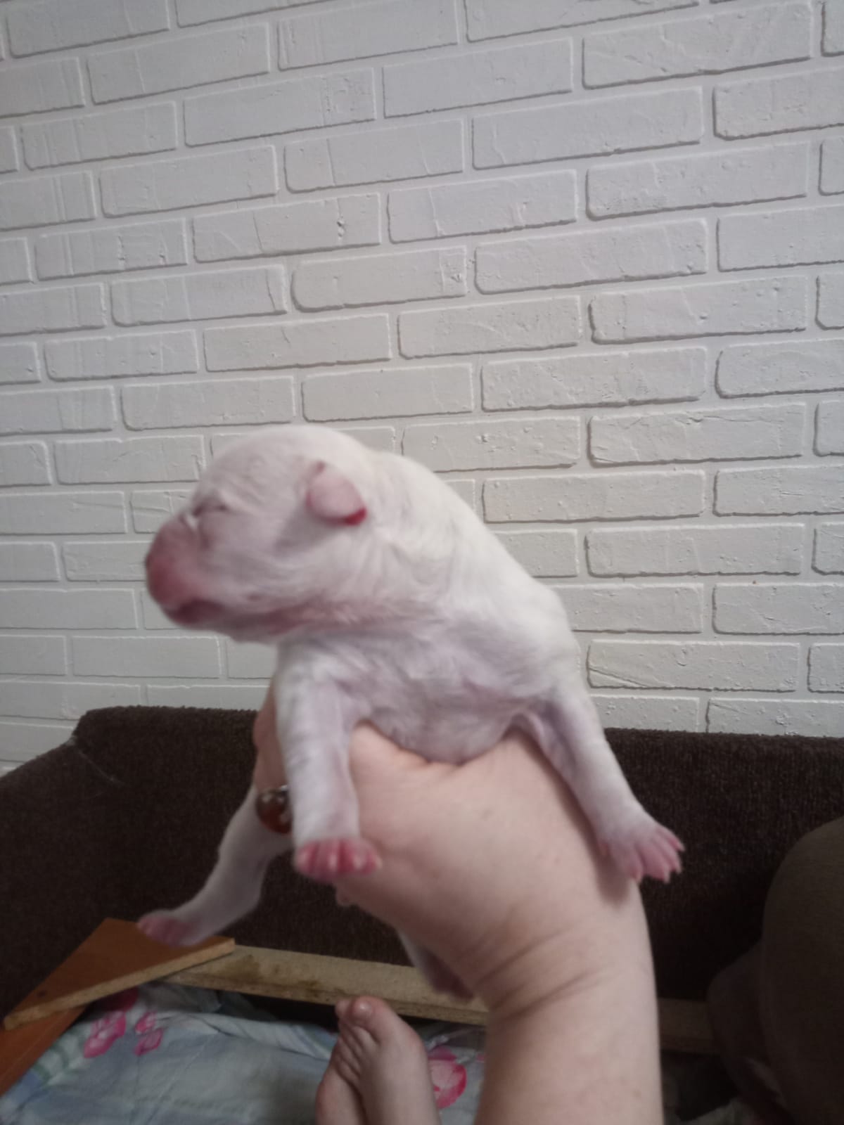 IMG-20231023-WA00071