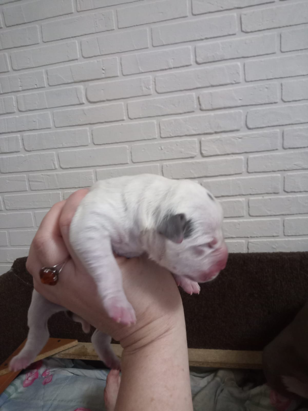 IMG-20231023-WA00111