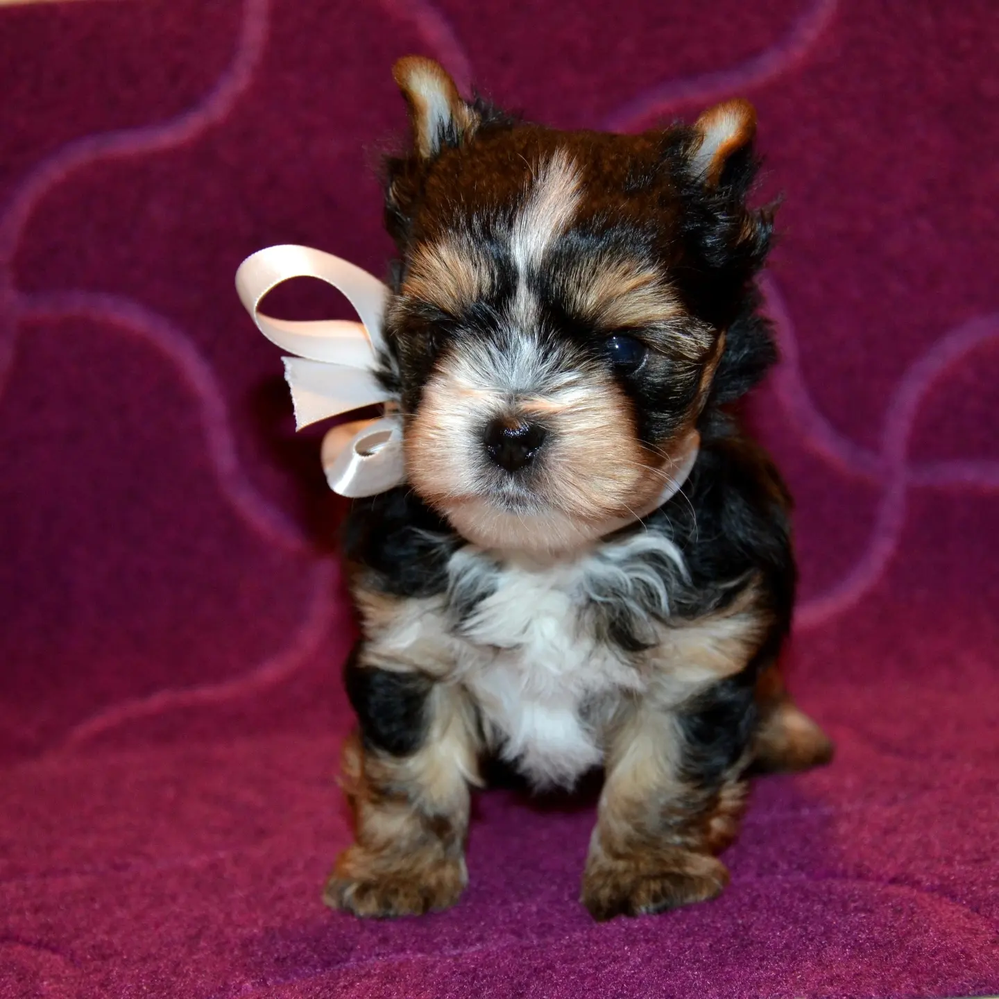 IMG_20231102_210330_377