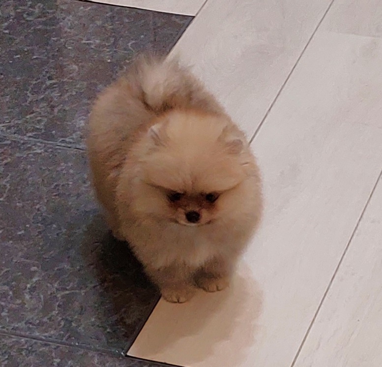 IMG_20231102_221257_149