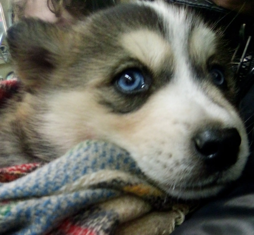 IMG_20231121_155625_84