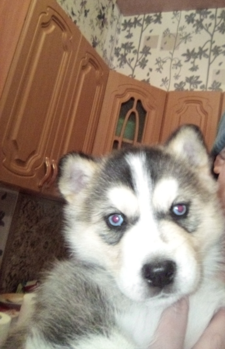 IMG_20231122_210159_131