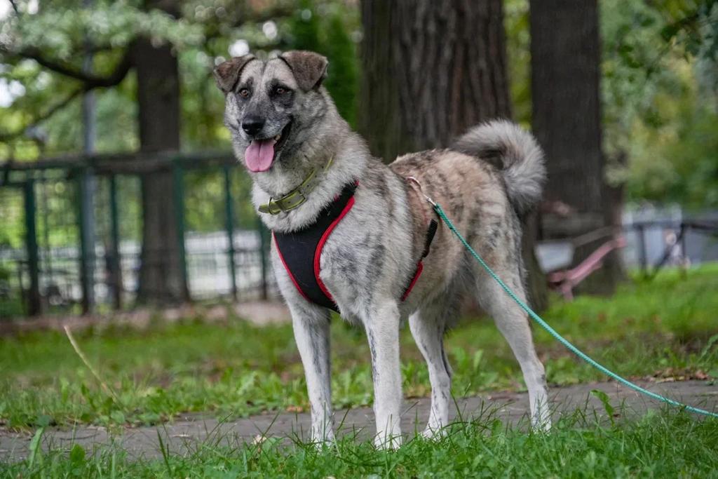 WhatsApp-Image-2023-10-24-at-16.37.09-3