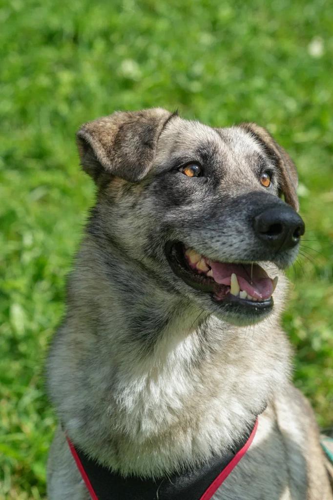 WhatsApp-Image-2023-10-24-at-16.37.09-_1_