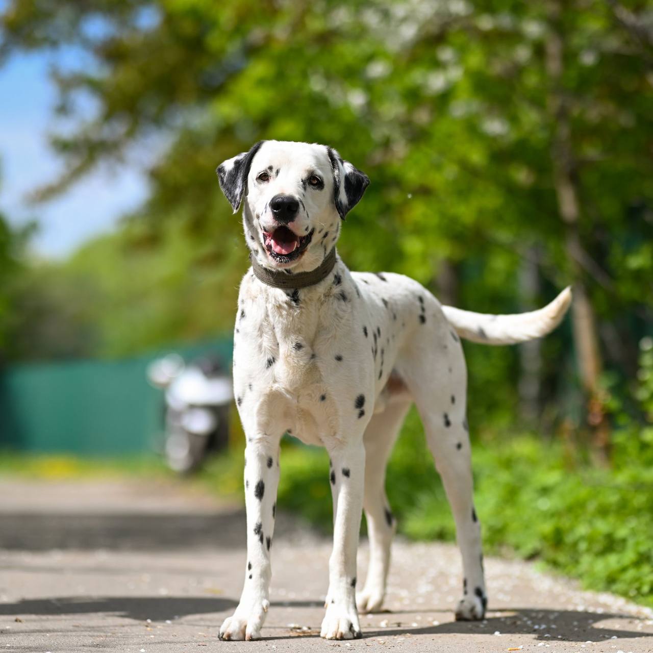 photo_2023-05-26_19-24-10