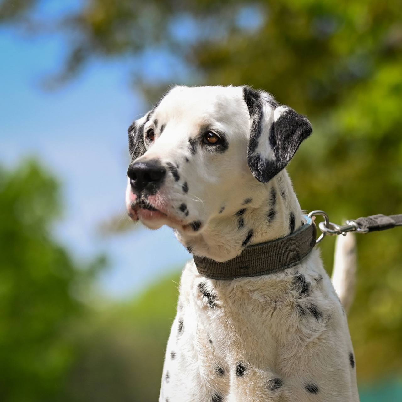 photo_2023-05-26_19-24-11-2