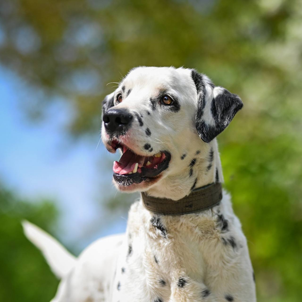 photo_2023-05-26_19-24-11