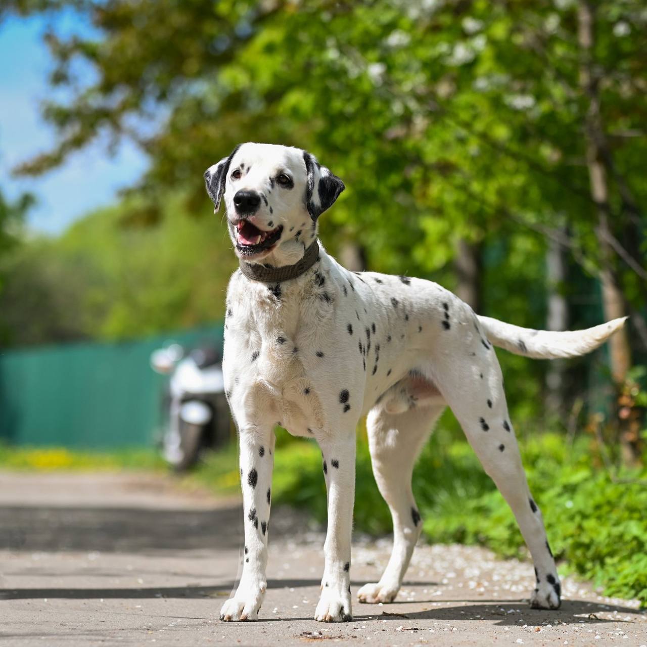 photo_2023-05-26_19-24-12