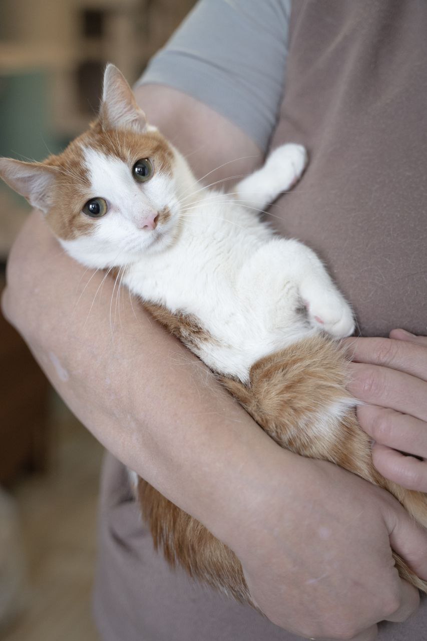 photo_2023-10-28_16-45-23-4