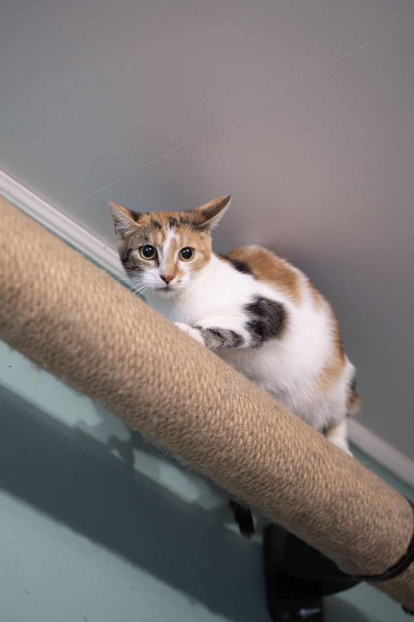 photo_2023-10-28_16-45-23-5