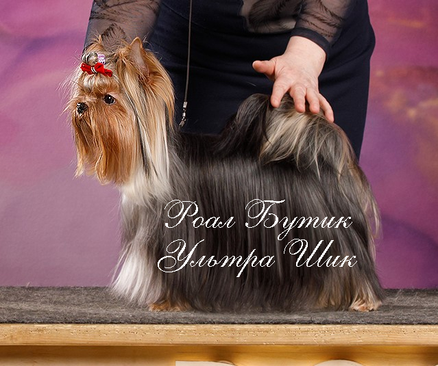 -для-рекламы-1