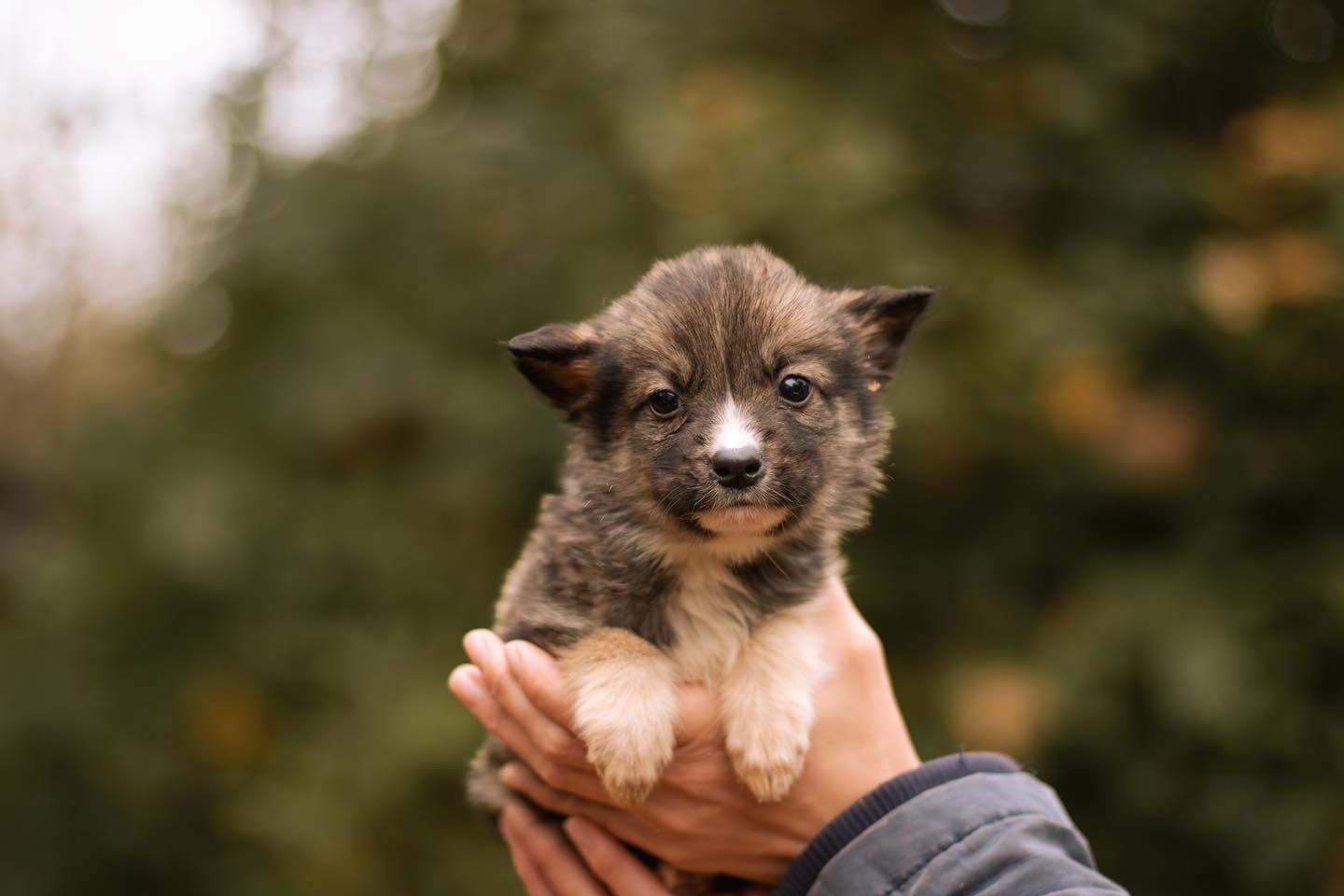 WhatsApp-Image-2023-11-20-at-00.22.51