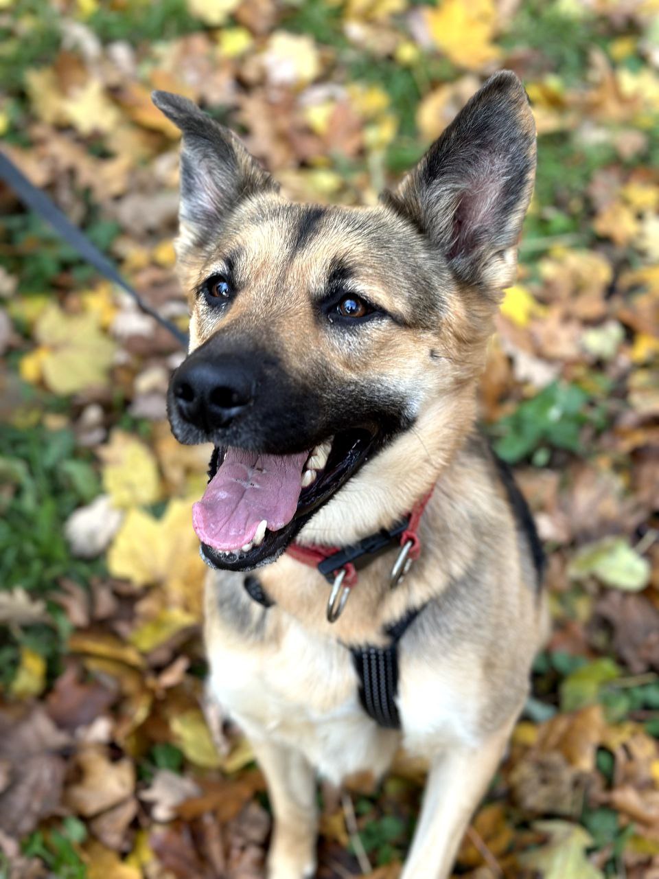 photo_2023-11-16_17-42-11