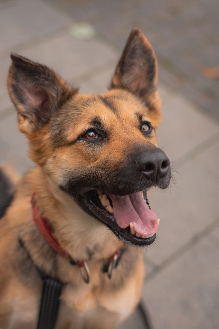 photo_2023-11-16_17-42-12-2