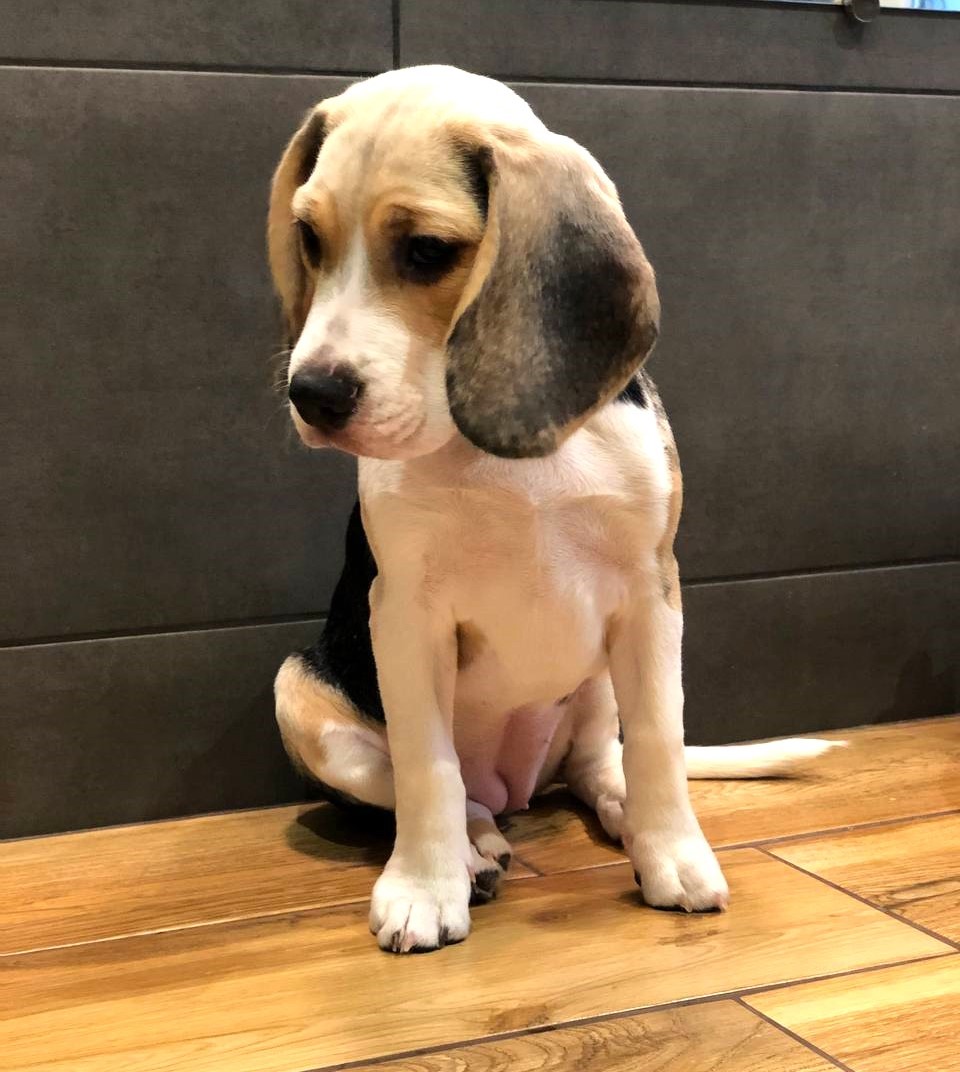 photo_2023-12-16_12-48-225обрез