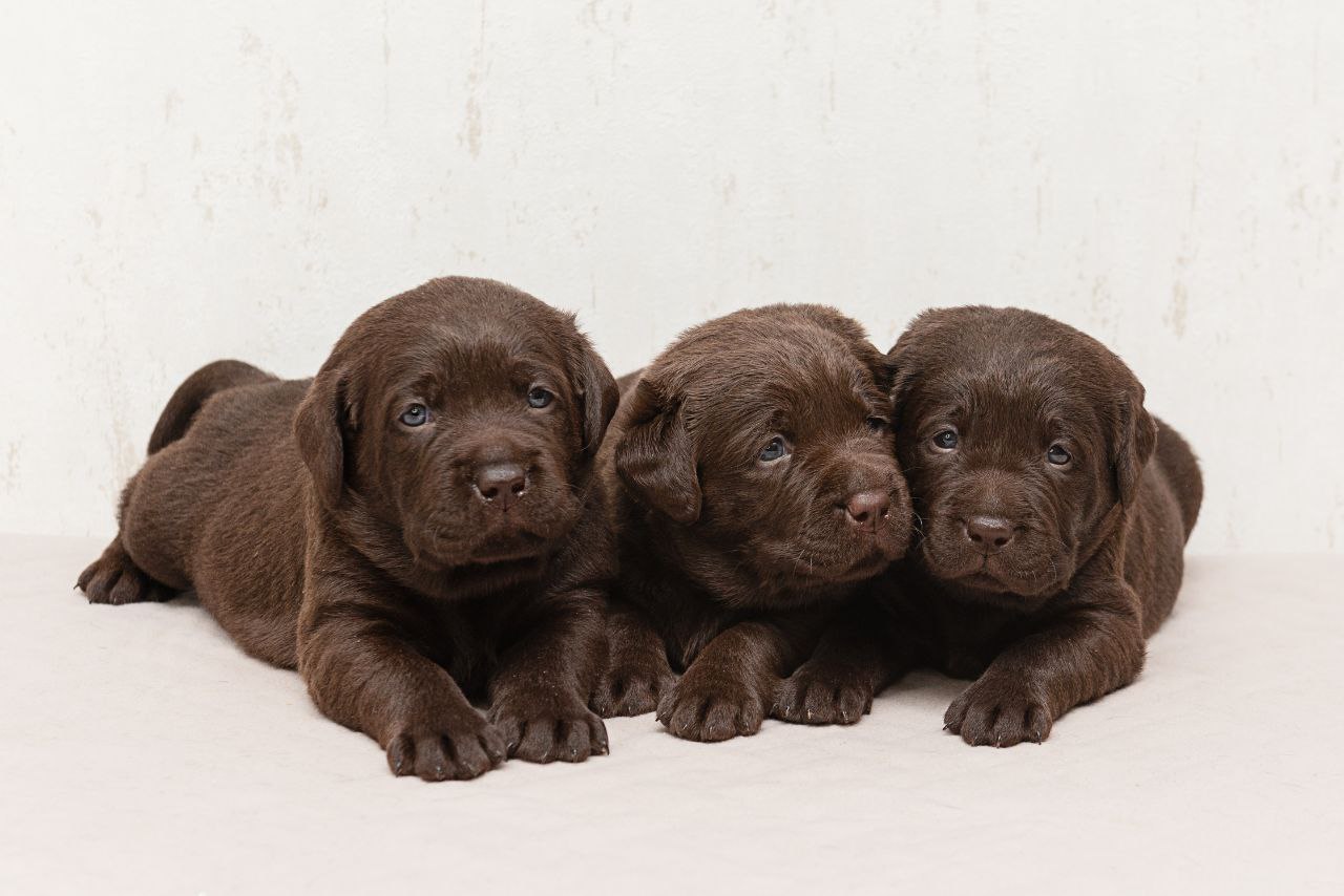 photo_2023-12-18_22-03-36-1