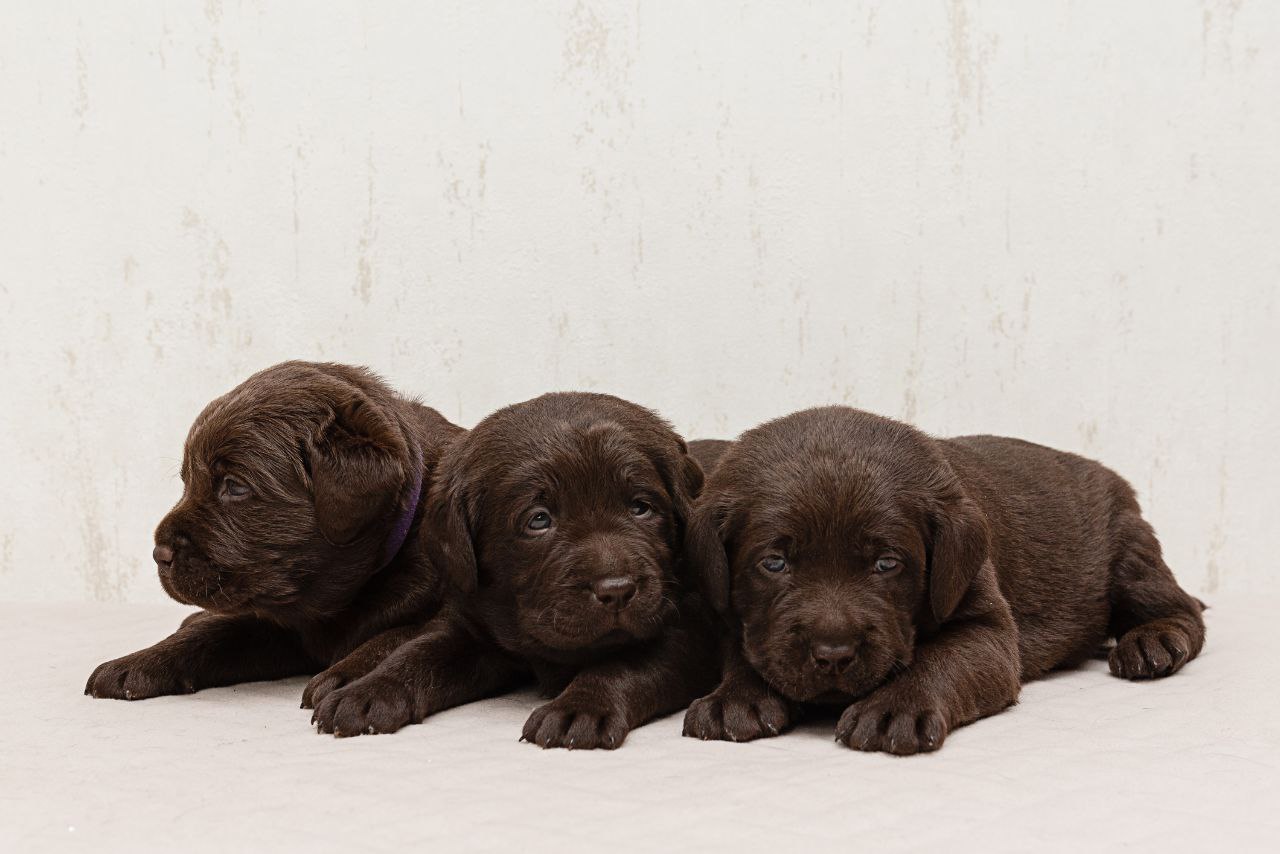 photo_2023-12-18_22-04-14-1