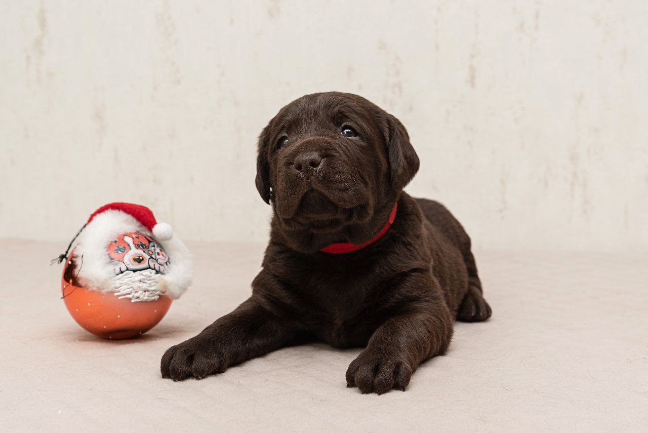 photo_2023-12-18_22-05-10