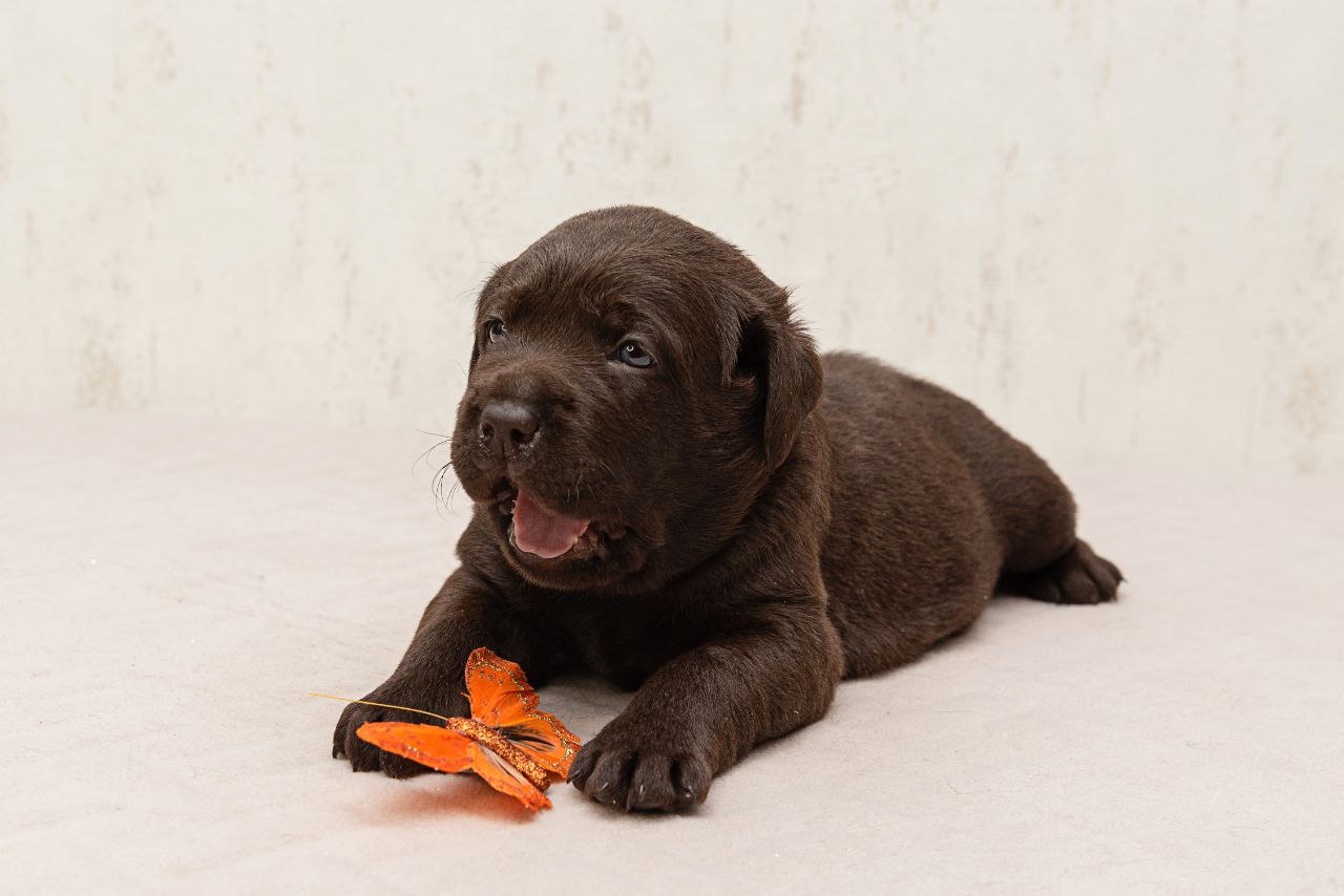 photo_2023-12-19_15-37-15-1