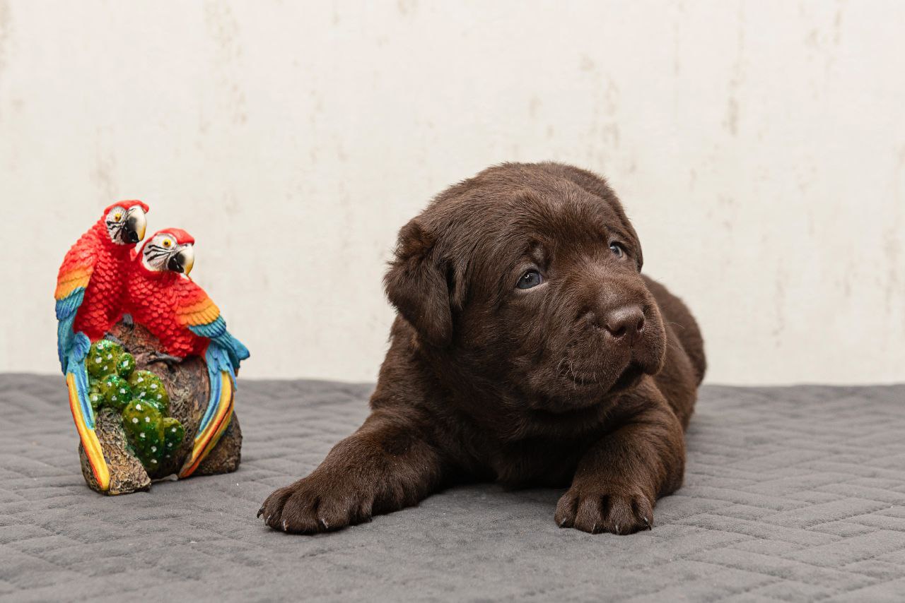 photo_2023-12-19_15-37-48-1