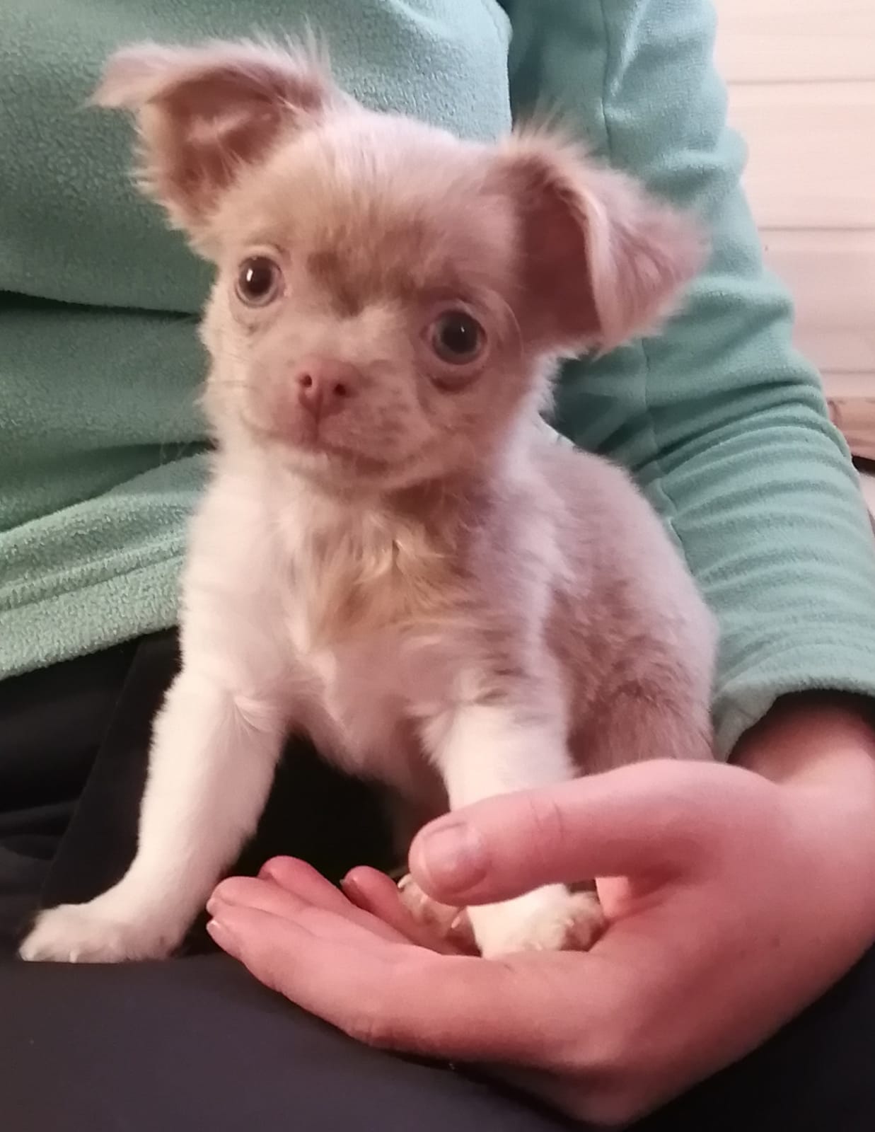 5d96b299-207c-4510-a51f-eca9b158d74d