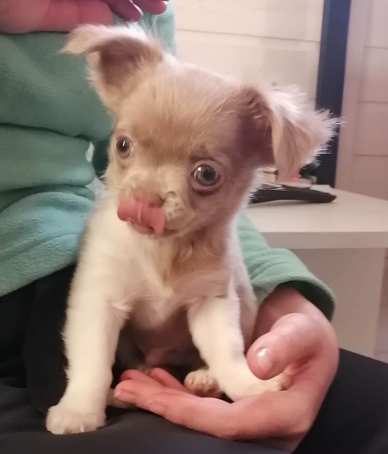 cfd06598-7709-45ad-ae9c-416c1ff0e46a