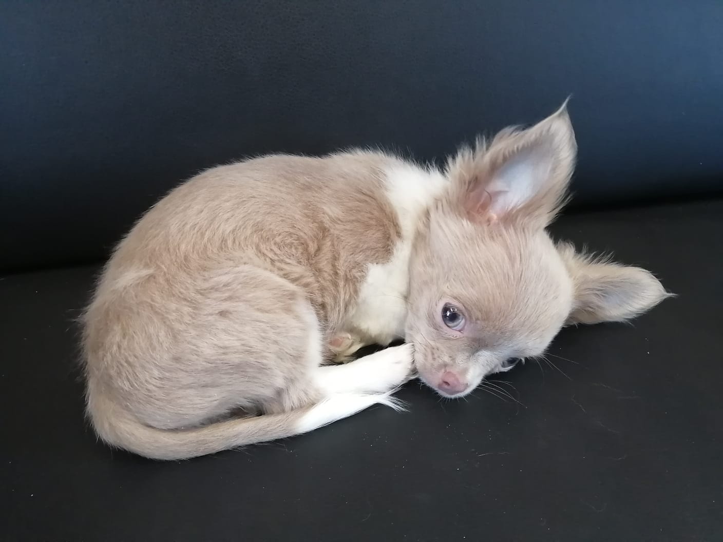 ec4d8fe0-7c32-449b-a7c3-27223c57f615