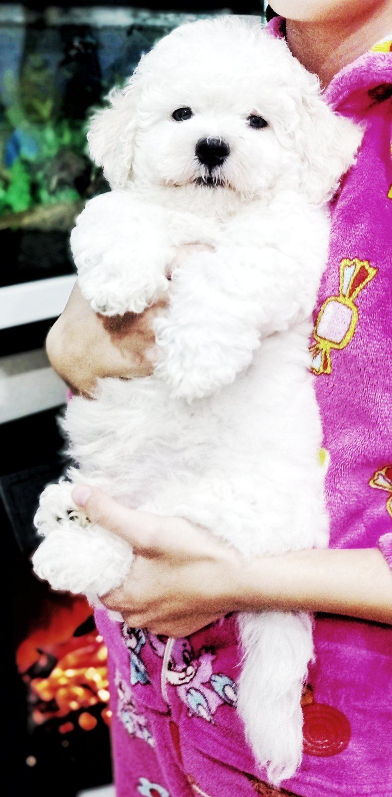 _viber_2023-12-15_13-35-35-464