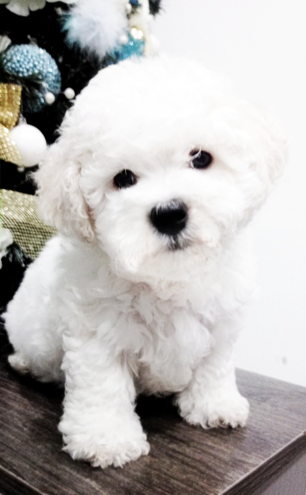 _viber_2023-12-15_13-36-53-015