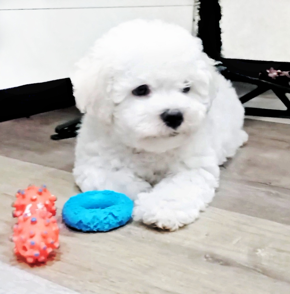 _viber_2024-01-06_23-39-29-609