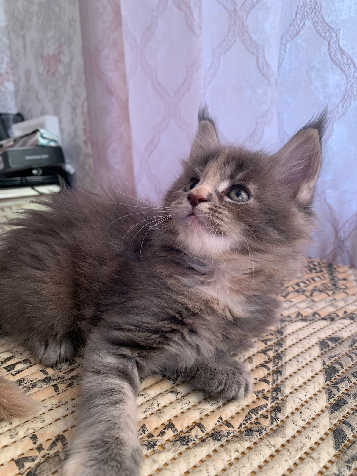 0536ad1b-7a8a-4dbd-b82a-1dd492b92c90