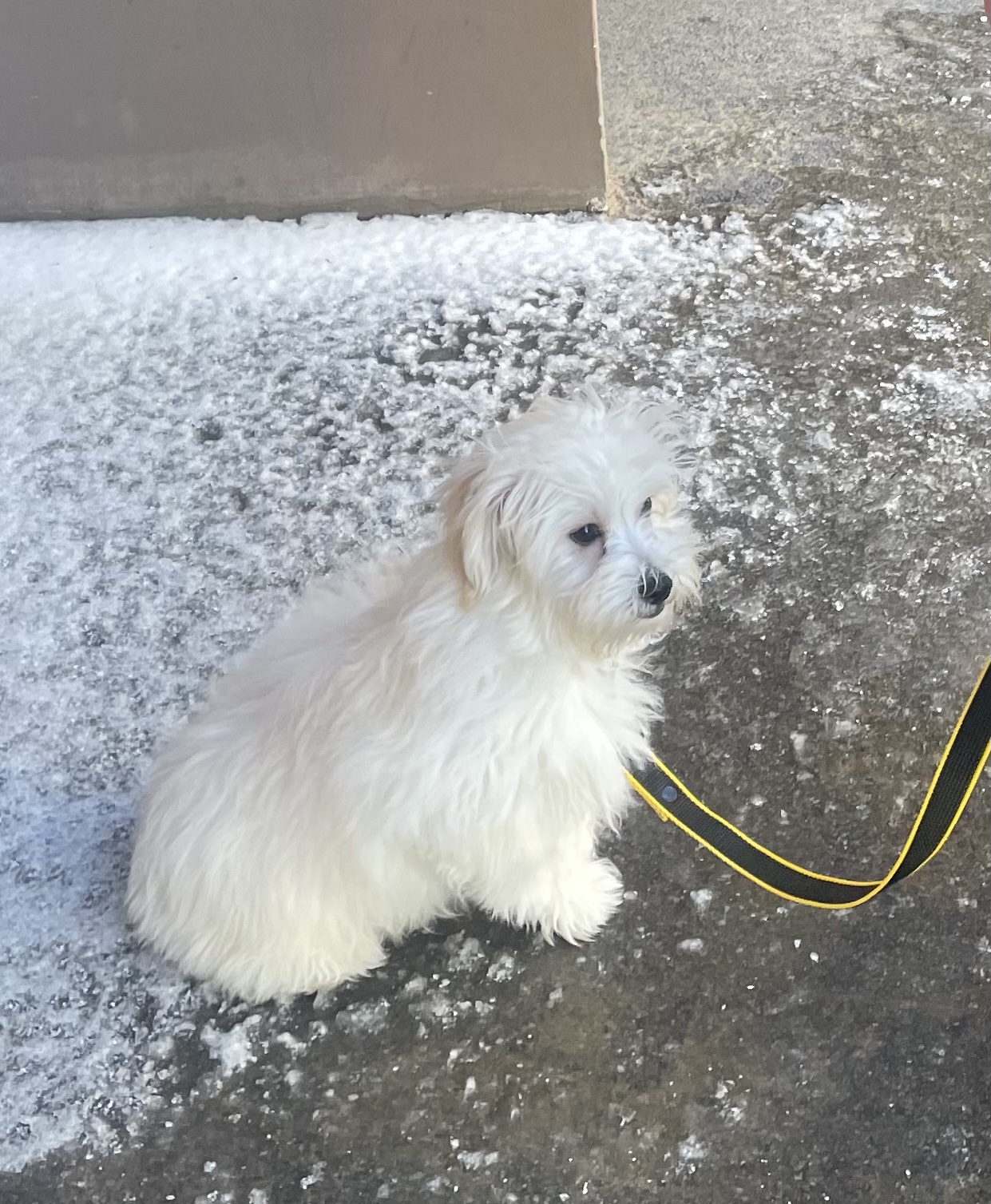 309C181C-B383-45EB-9772-5283340C8FDA