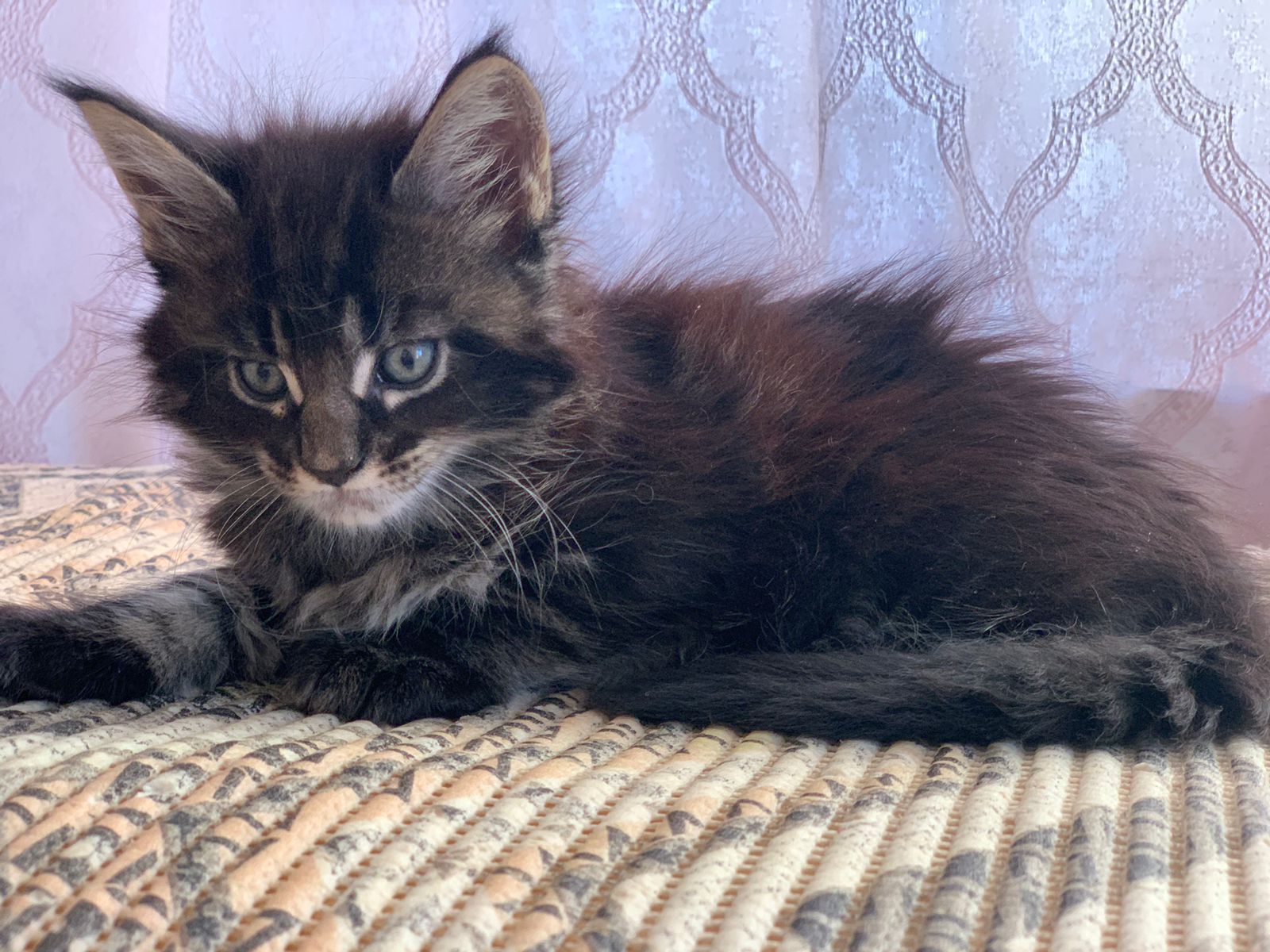 3b398f1f-b07c-454a-abcb-566c19b502d9-1