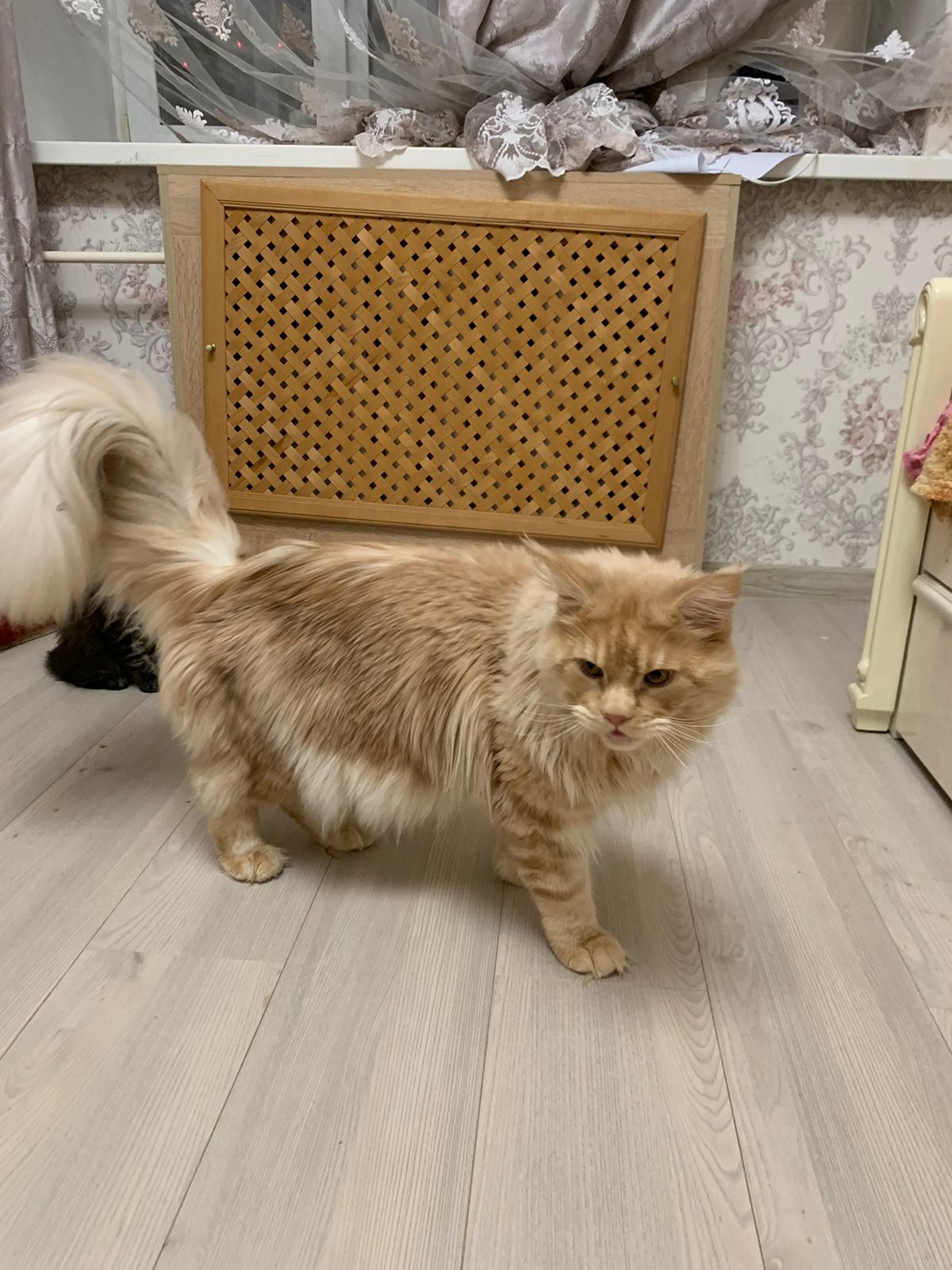 4ec6ca37-d26b-44a3-9e09-3cb9fbf34ea4