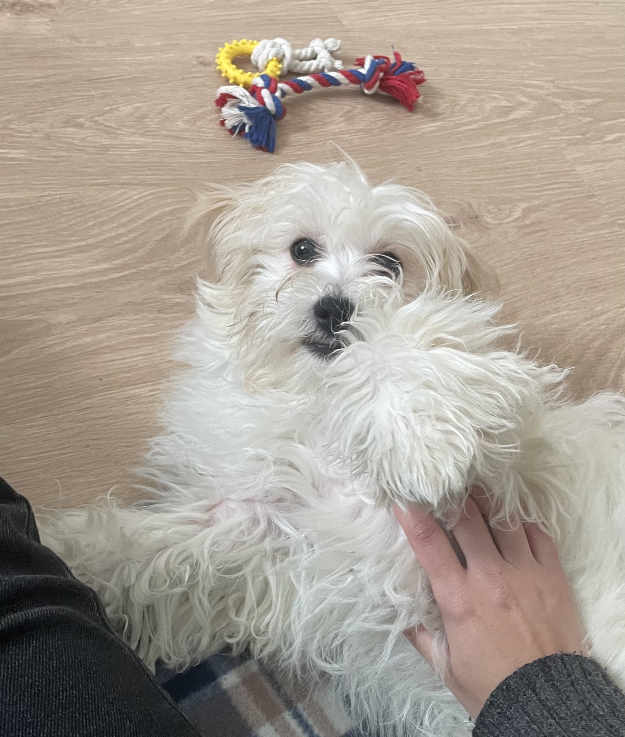 CBC36A16-7213-4381-87FC-963B9B6DE4CB