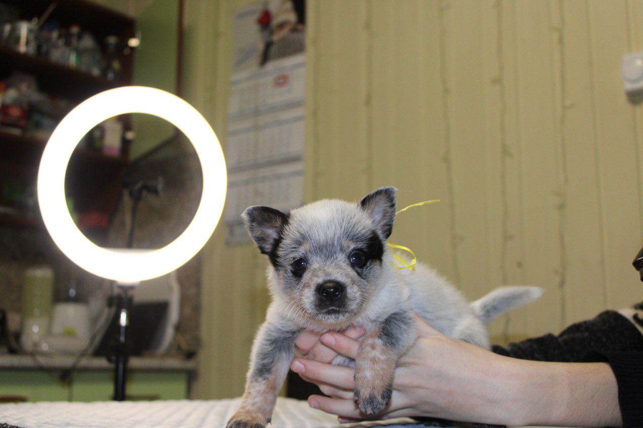 IMG_20240210_215745_314