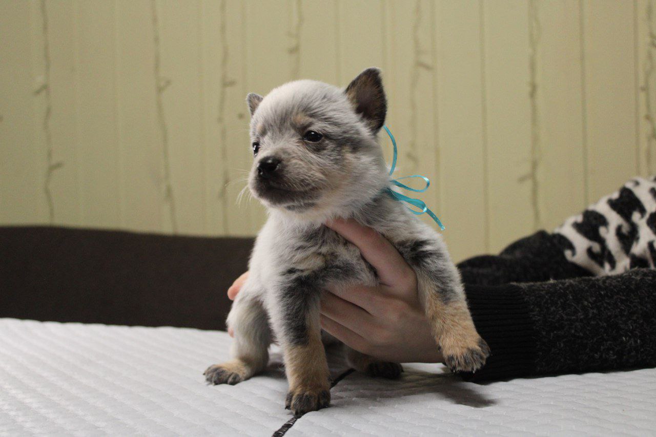 IMG_20240210_215850_853