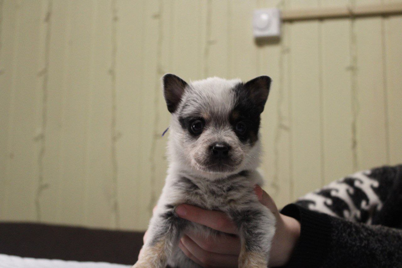 IMG_20240210_215859_541