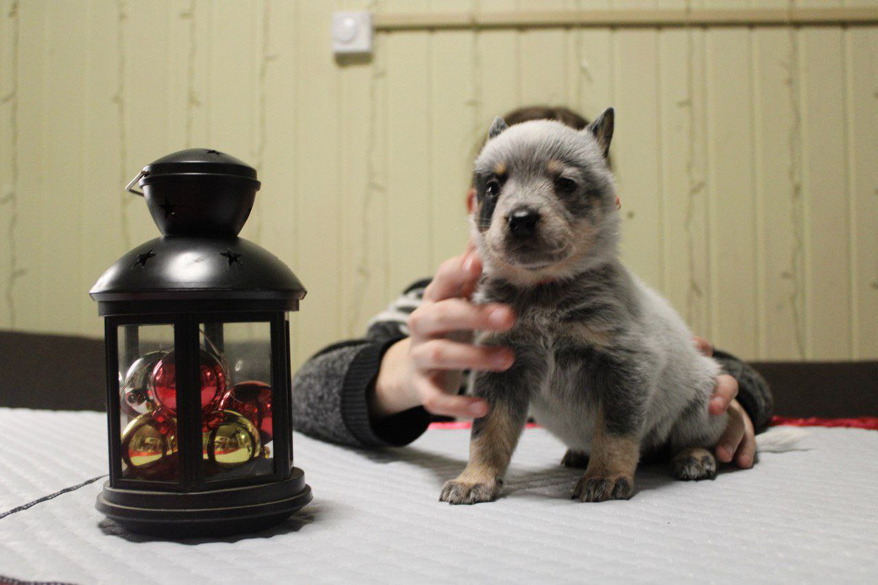 IMG_20240210_220018_948